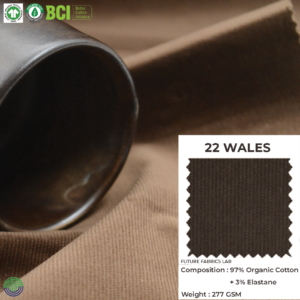 22 Wales (F)-2
